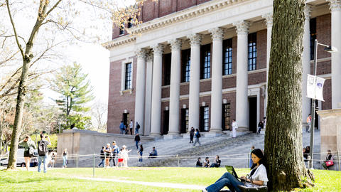 A student sits under a tree in front of Widener library.