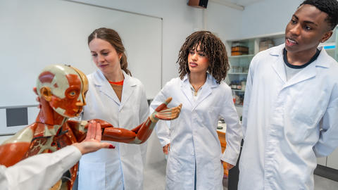 Students in lab coats study a human anatomy model in a classroom.